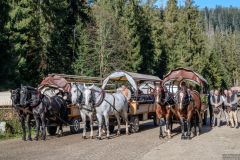 150 lat transportu konnego do Morskiego Oka