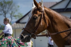 58. Sabałowe Bajania - Paradny przejazd na rozpoczęcie festiwalu