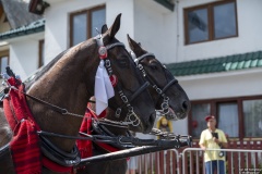 58. Sabałowe Bajania - Paradny przejazd na rozpoczęcie festiwalu