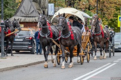 Paradny przejazd z kościoła parafialnego do BCK - obchody 100 lat teatru w Bukowinie Tatrzańskiej