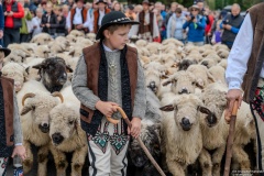 Redyk - 40 Babiogórska Jesień 2024