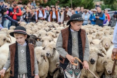 Redyk - 40 Babiogórska Jesień 2024