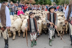 Redyk - 40 Babiogórska Jesień 2024