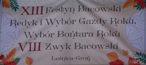 XIII Festyn Bacowski Leśnica 2018 DSC_3840_mini