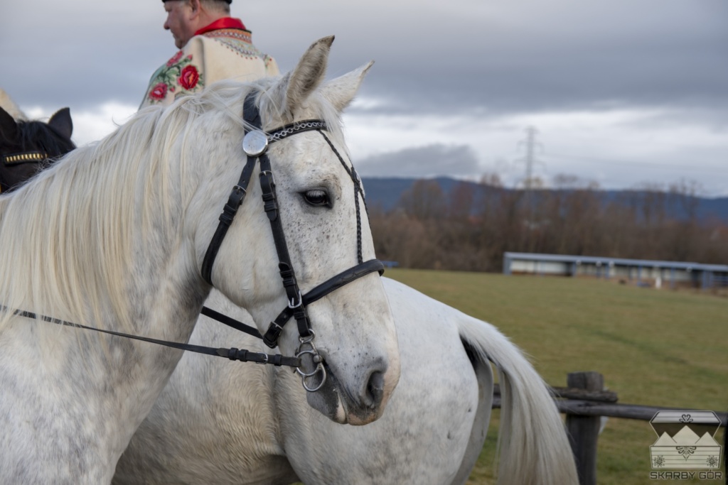 Poświęcenie koni w Ludźmierzu 2018