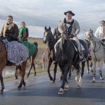 Poświęcenie koni w Ludźmierzu 2018