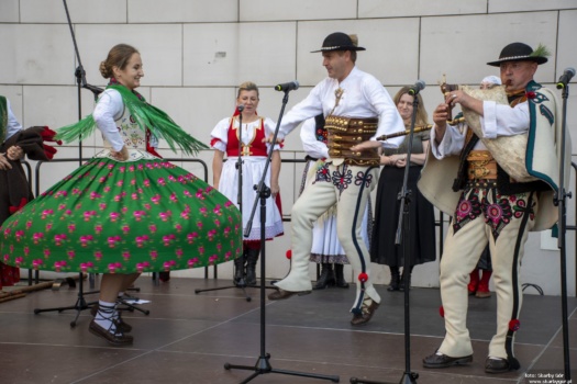 V Kongres Kultury Regionów