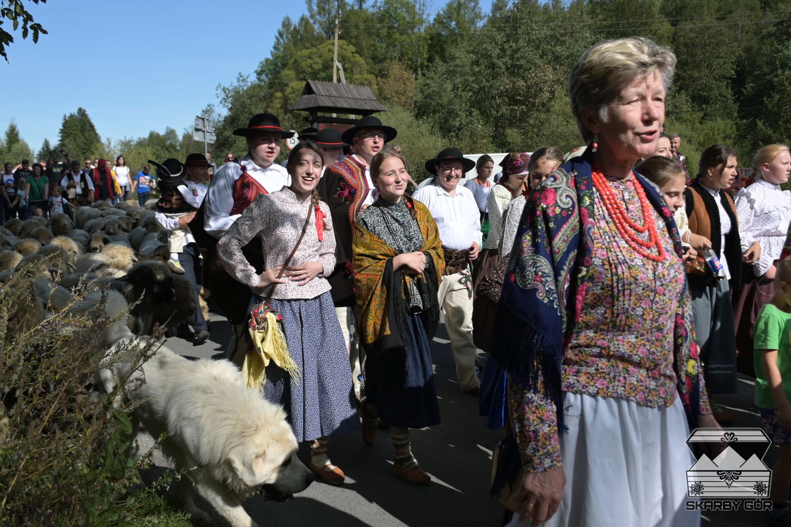 36 Babiogorska Jesien Redyk I Rozpoczecie Fotorelacja Skarby Gor