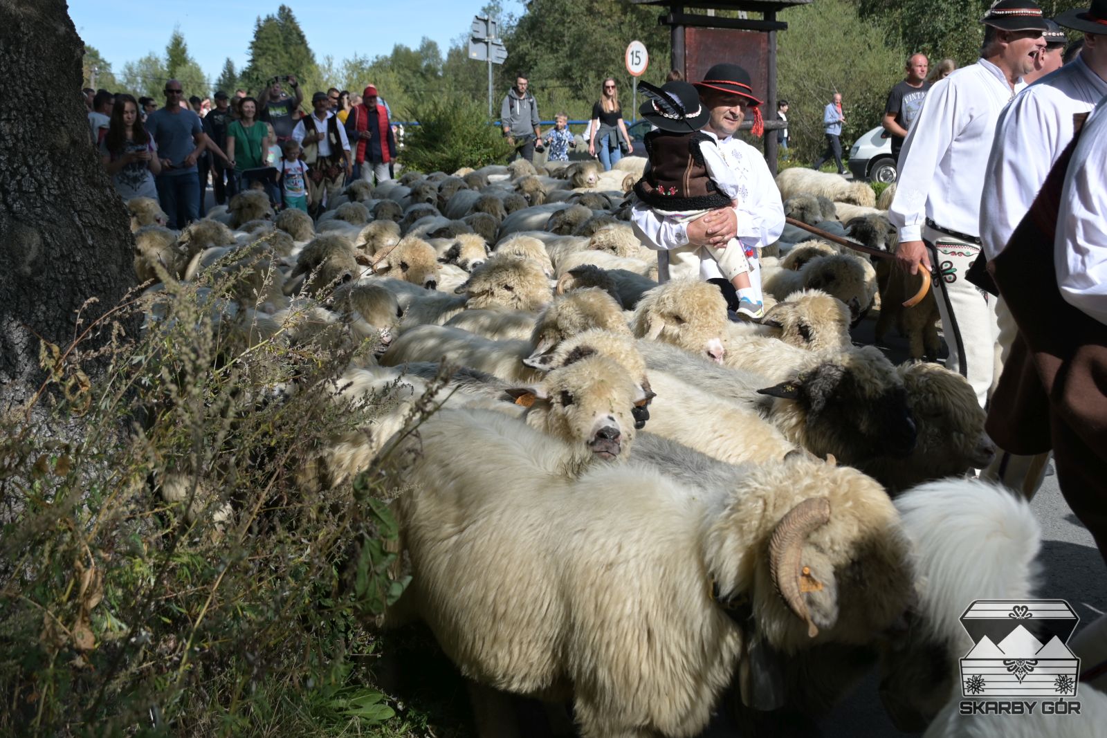 36 Babiogorska Jesien Redyk I Rozpoczecie Fotorelacja Skarby Gor