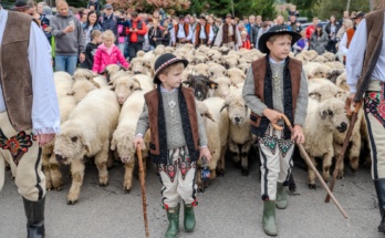 Redyk - 40 Babiogórska Jesień 2024