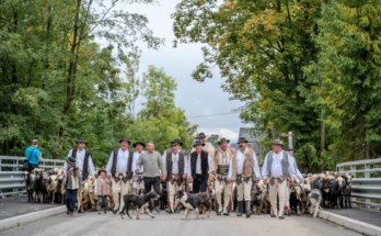 XVIII Festyn Bacowski - Redyk i Wybór Gazdy Roku, Wybór Bońtara Roku, XIII Zwyk Bacowski - Redyk owiec - Leśnica - Groń 2025