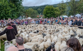 41. Babiogórska Jesień - Redyk - Zawoja 2025-09-27