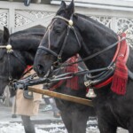 Paradny przejazd na rozpoczęcie 52 Góralskiego Karnawału 2024 Paradny przejazd na rozpoczęcie 52 Góralskiego Karnawału 2024