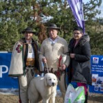 XIII Zimowa Krajowa Wystawa Polskich Owczarków Podhalańskich - 52 Góralski Karnawał 2024 XIII Zimowa Krajowa Wystawa Polskich Owczarków Podhalańskich - 52 Góralski Karnawał 2024