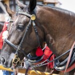 58. Sabałowe Bajania - Paradny przejazd na rozpoczęcie festiwalu 58. Sabałowe Bajania - Paradny przejazd na rozpoczęcie festiwalu