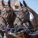 58. Sabałowe Bajania - Paradny przejazd na rozpoczęcie festiwalu 58. Sabałowe Bajania - Paradny przejazd na rozpoczęcie festiwalu