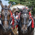 58. Sabałowe Bajania - Paradny przejazd na rozpoczęcie festiwalu 58. Sabałowe Bajania - Paradny przejazd na rozpoczęcie festiwalu