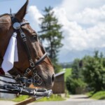 58. Sabałowe Bajania - Paradny przejazd na rozpoczęcie festiwalu 58. Sabałowe Bajania - Paradny przejazd na rozpoczęcie festiwalu