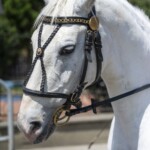 58. Sabałowe Bajania - Paradny przejazd na rozpoczęcie festiwalu 58. Sabałowe Bajania - Paradny przejazd na rozpoczęcie festiwalu