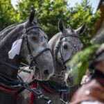 58. Sabałowe Bajania - Paradny przejazd na rozpoczęcie festiwalu 58. Sabałowe Bajania - Paradny przejazd na rozpoczęcie festiwalu