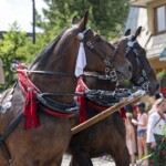 58. Sabałowe Bajania - Paradny przejazd na rozpoczęcie festiwalu 58. Sabałowe Bajania - Paradny przejazd na rozpoczęcie festiwalu