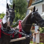58. Sabałowe Bajania - Paradny przejazd na rozpoczęcie festiwalu 58. Sabałowe Bajania - Paradny przejazd na rozpoczęcie festiwalu