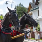 58. Sabałowe Bajania - Paradny przejazd na rozpoczęcie festiwalu 58. Sabałowe Bajania - Paradny przejazd na rozpoczęcie festiwalu