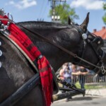 58. Sabałowe Bajania - Paradny przejazd na rozpoczęcie festiwalu 58. Sabałowe Bajania - Paradny przejazd na rozpoczęcie festiwalu