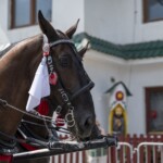 58. Sabałowe Bajania - Paradny przejazd na rozpoczęcie festiwalu 58. Sabałowe Bajania - Paradny przejazd na rozpoczęcie festiwalu