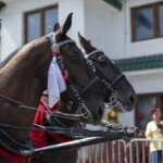 58. Sabałowe Bajania - Paradny przejazd na rozpoczęcie festiwalu 58. Sabałowe Bajania - Paradny przejazd na rozpoczęcie festiwalu