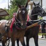 58. Sabałowe Bajania - Paradny przejazd na rozpoczęcie festiwalu 58. Sabałowe Bajania - Paradny przejazd na rozpoczęcie festiwalu