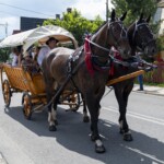 58. Sabałowe Bajania - Paradny przejazd na rozpoczęcie festiwalu 58. Sabałowe Bajania - Paradny przejazd na rozpoczęcie festiwalu