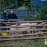 Pokazy w namiocie „Spotkanie” i Pokazy pasterskie „Na szałasie” - 40 Babiogórska Jesień 2024 Pokazy w namiocie „Spotkanie” i Pokazy pasterskie „Na szałasie” - 40 Babiogórska Jesień 2024