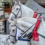 Paradny przejazd z kościoła parafialnego do BCK - obchody 100 lat teatru w Bukowinie Tatrzańskiej Paradny przejazd z kościoła parafialnego do BCK - obchody 100 lat teatru w Bukowinie Tatrzańskiej