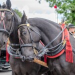 Paradny przejazd z kościoła parafialnego do BCK - obchody 100 lat teatru w Bukowinie Tatrzańskiej Paradny przejazd z kościoła parafialnego do BCK - obchody 100 lat teatru w Bukowinie Tatrzańskiej