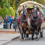 Paradny przejazd z kościoła parafialnego do BCK - obchody 100 lat teatru w Bukowinie Tatrzańskiej Paradny przejazd z kościoła parafialnego do BCK - obchody 100 lat teatru w Bukowinie Tatrzańskiej
