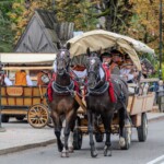 Paradny przejazd z kościoła parafialnego do BCK - obchody 100 lat teatru w Bukowinie Tatrzańskiej Paradny przejazd z kościoła parafialnego do BCK - obchody 100 lat teatru w Bukowinie Tatrzańskiej