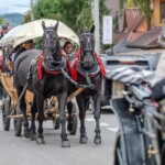 Paradny przejazd z kościoła parafialnego do BCK - obchody 100 lat teatru w Bukowinie Tatrzańskiej Paradny przejazd z kościoła parafialnego do BCK - obchody 100 lat teatru w Bukowinie Tatrzańskiej