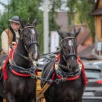 Paradny przejazd z kościoła parafialnego do BCK - obchody 100 lat teatru w Bukowinie Tatrzańskiej Paradny przejazd z kościoła parafialnego do BCK - obchody 100 lat teatru w Bukowinie Tatrzańskiej