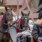Paradny przejazd z kościoła parafialnego do BCK - obchody 100 lat teatru w Bukowinie Tatrzańskiej Paradny przejazd z kościoła parafialnego do BCK - obchody 100 lat teatru w Bukowinie Tatrzańskiej