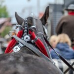 Paradny przejazd z kościoła parafialnego do BCK - obchody 100 lat teatru w Bukowinie Tatrzańskiej Paradny przejazd z kościoła parafialnego do BCK - obchody 100 lat teatru w Bukowinie Tatrzańskiej