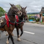 Paradny przejazd z kościoła parafialnego do BCK - obchody 100 lat teatru w Bukowinie Tatrzańskiej Paradny przejazd z kościoła parafialnego do BCK - obchody 100 lat teatru w Bukowinie Tatrzańskiej