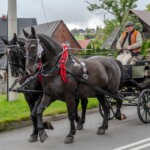 Paradny przejazd z kościoła parafialnego do BCK - obchody 100 lat teatru w Bukowinie Tatrzańskiej Paradny przejazd z kościoła parafialnego do BCK - obchody 100 lat teatru w Bukowinie Tatrzańskiej