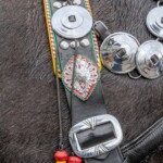 Paradny przejazd z kościoła parafialnego do BCK - obchody 100 lat teatru w Bukowinie Tatrzańskiej Paradny przejazd z kościoła parafialnego do BCK - obchody 100 lat teatru w Bukowinie Tatrzańskiej