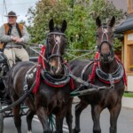 Paradny przejazd z kościoła parafialnego do BCK - obchody 100 lat teatru w Bukowinie Tatrzańskiej Paradny przejazd z kościoła parafialnego do BCK - obchody 100 lat teatru w Bukowinie Tatrzańskiej