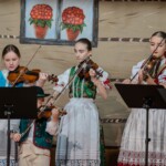 Koncert Zimowo Noworoczny - Zielony Jawor - Kapela 2025 Koncert Zimowo Noworoczny - Zielony Jawor - Kapela 2025