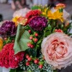 XXII Dzień Polowaca - XXIV Tatrzańskie Wici - Koncert Jubileuszowy z okazji 70-lecia istnienia zespołu dziecięcego z Jurgowa - Mali Jurgowianie - Jurgów - Amfiteatr nad rzeką Białką 2025-07-27 XXII Dzień Polowaca - XXIV Tatrzańskie Wici - Koncert Jubileuszowy z okazji 70-lecia istnienia zespołu dziecięcego z Jurgowa - Mali Jurgowianie - Jurgów - Amfiteatr nad rzeką Białką 2025-07-27