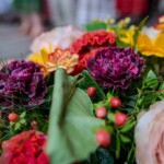 XXII Dzień Polowaca - XXIV Tatrzańskie Wici - Koncert Jubileuszowy z okazji 70-lecia istnienia zespołu dziecięcego z Jurgowa - Mali Jurgowianie - Jurgów - Amfiteatr nad rzeką Białką 2025-07-27 XXII Dzień Polowaca - XXIV Tatrzańskie Wici - Koncert Jubileuszowy z okazji 70-lecia istnienia zespołu dziecięcego z Jurgowa - Mali Jurgowianie - Jurgów - Amfiteatr nad rzeką Białką 2025-07-27