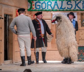 54. Góralski Karnawał - Przegląd grup kolędniczych czwartek 2026-02-05 54. Góralski Karnawał - Przegląd grup kolędniczych czwartek 2026-02-05